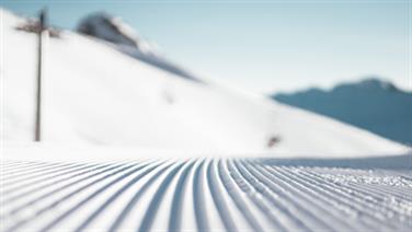 Image for: Day Tickets